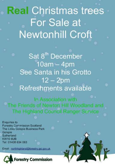 Photograph of Real Christmas Trees Sale 8th December - Newtonhill Croft
