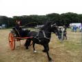 Thumbnail for article : Caithness County Show 2014 - Saturday