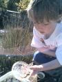Thumbnail for article : Youngest Newt surveyor presents his work at Edinburgh Herpetological Symposium