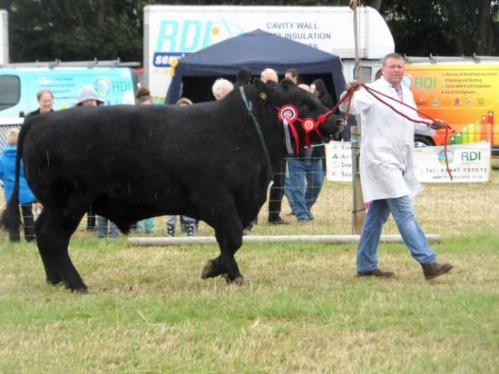 Photograph of Caithness County Show 2014
