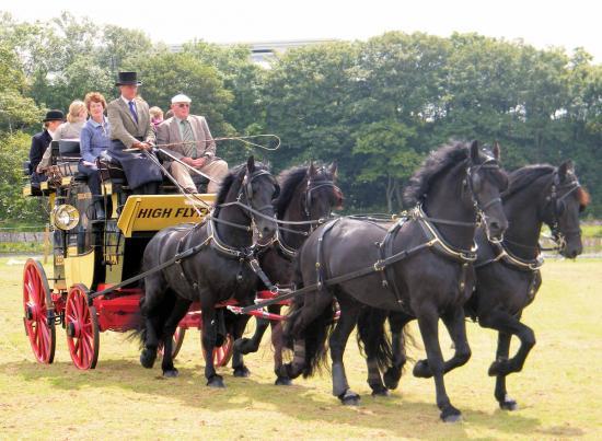 Photograph of Caithness County Show 2011