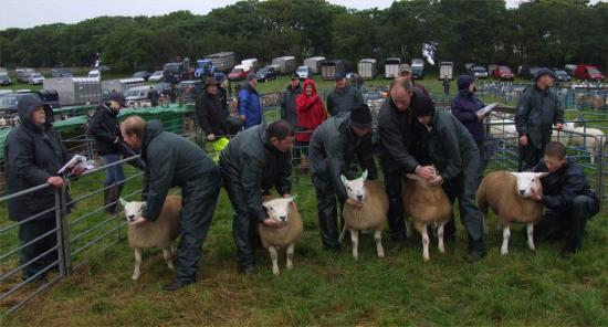 Photograph of Caithness County Show 2009