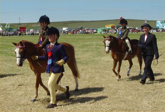 Photograph of Caithness County Show 2006