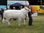 Thumbnail for article : Caithness County Show 2016 - Deadline For Entries