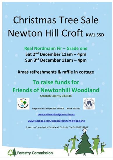 Photograph of Christmas Tree Sale - Newtonhill Croft