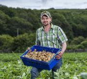 Thumbnail for article : AYRSHIRE EARLY POTATOES LAUNCH IN TESCO STORES