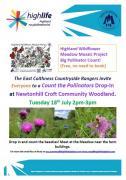 Thumbnail for article : Newtonhill, Wick Pollinator Day